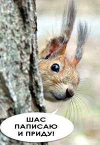 Анекдоты среды