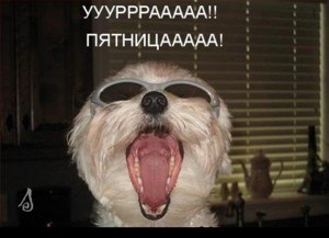 Анекдоты пятницы