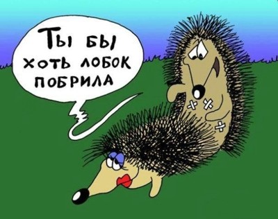 Анекдоты вторника