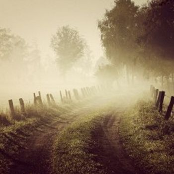 Лучшие способы начать твой день...